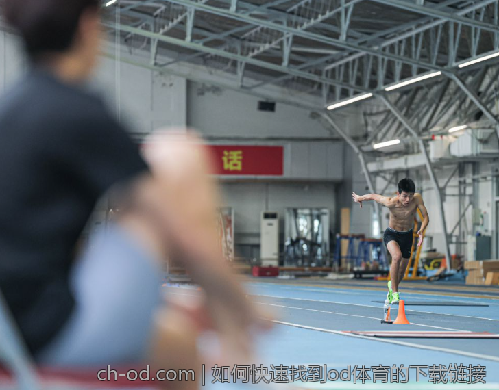 如何快速找到od体育的下载链接
